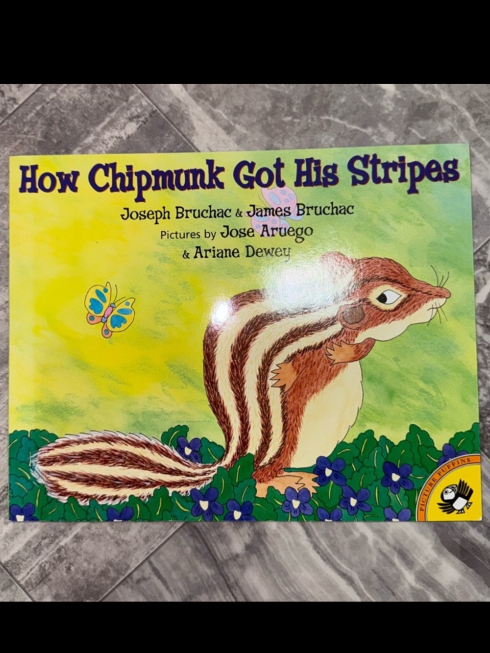 How Chipmunk Got His Stripes Book